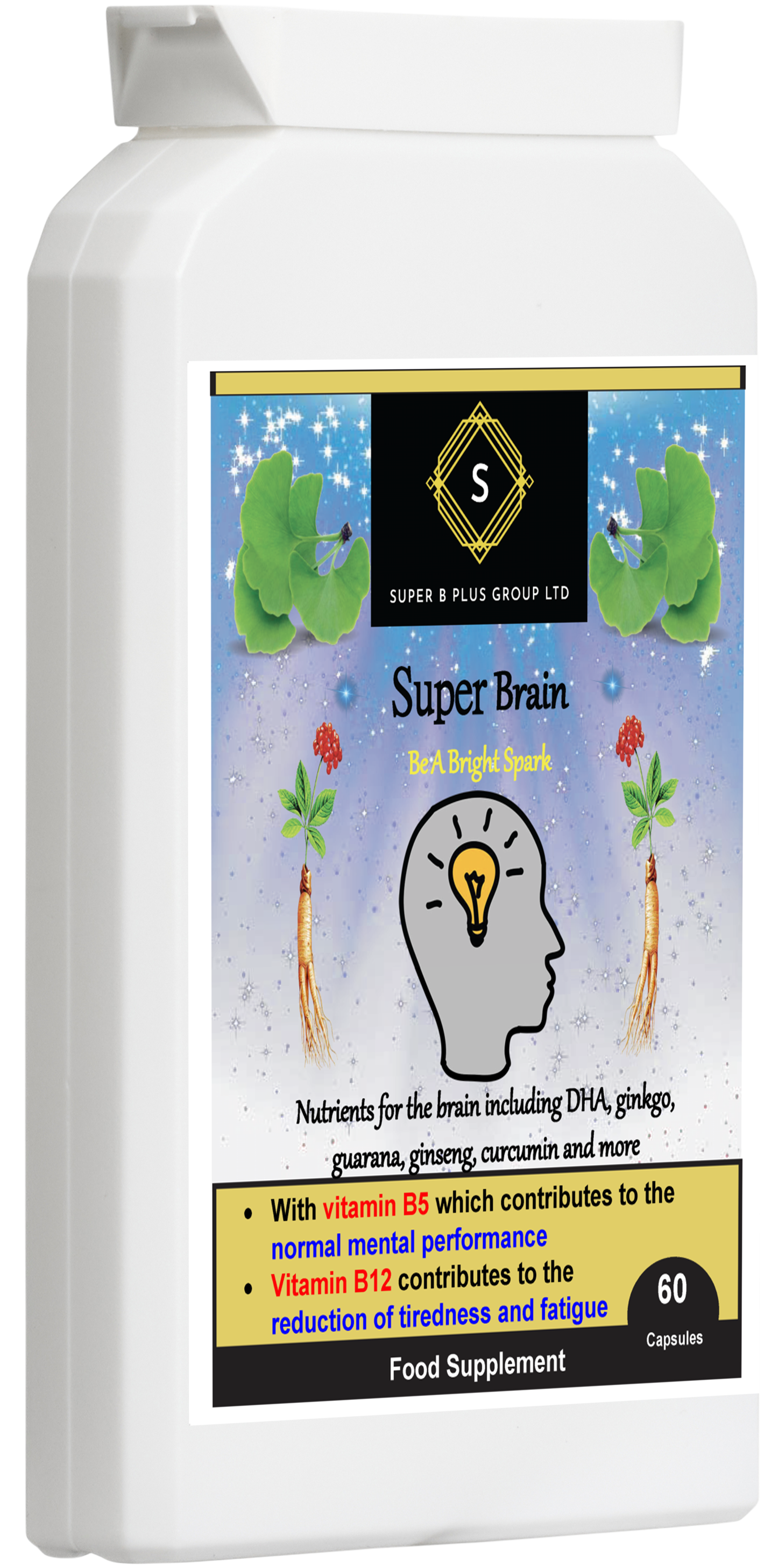 Super Brain-2